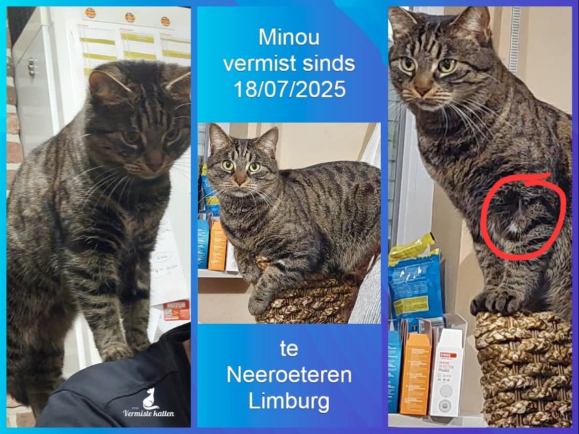 Foto van het dier
