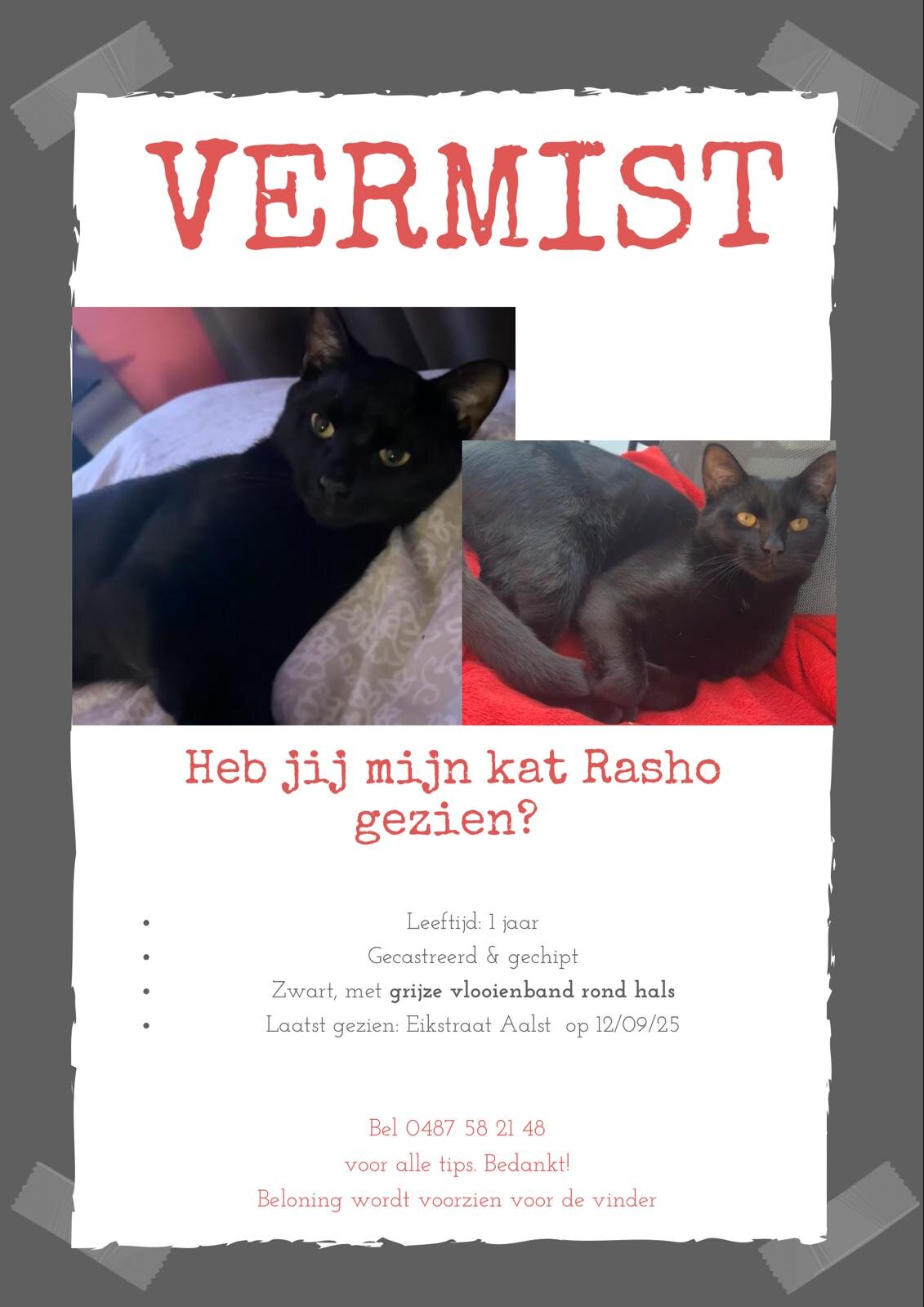 Foto van het dier