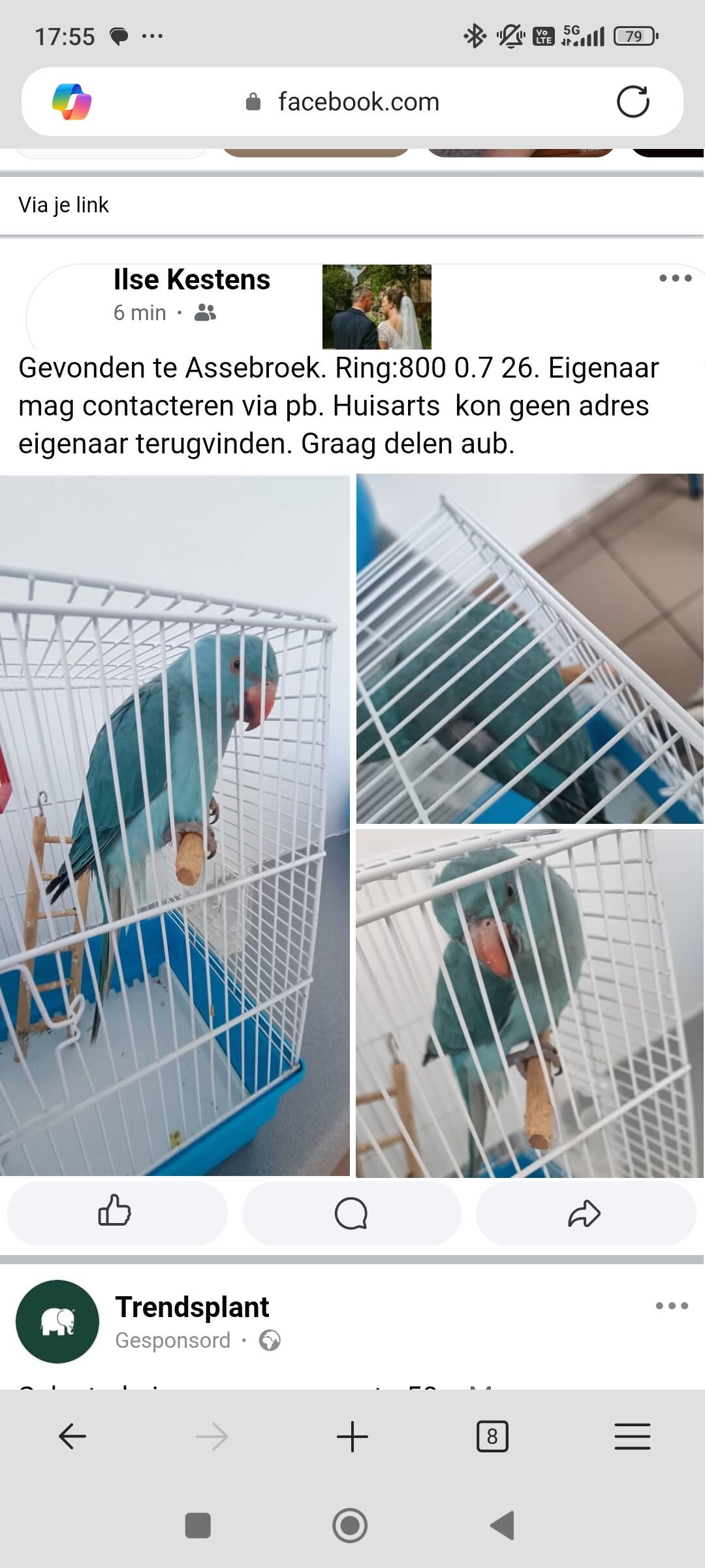 © BinnenBeest.be