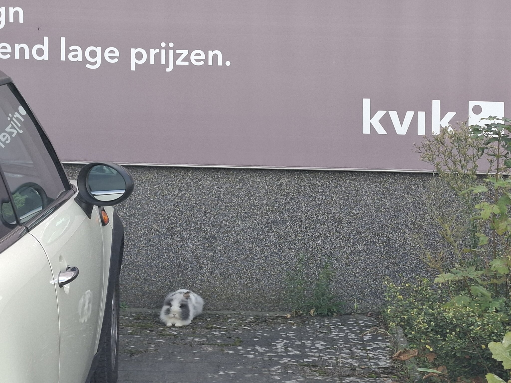 © BinnenBeest.be