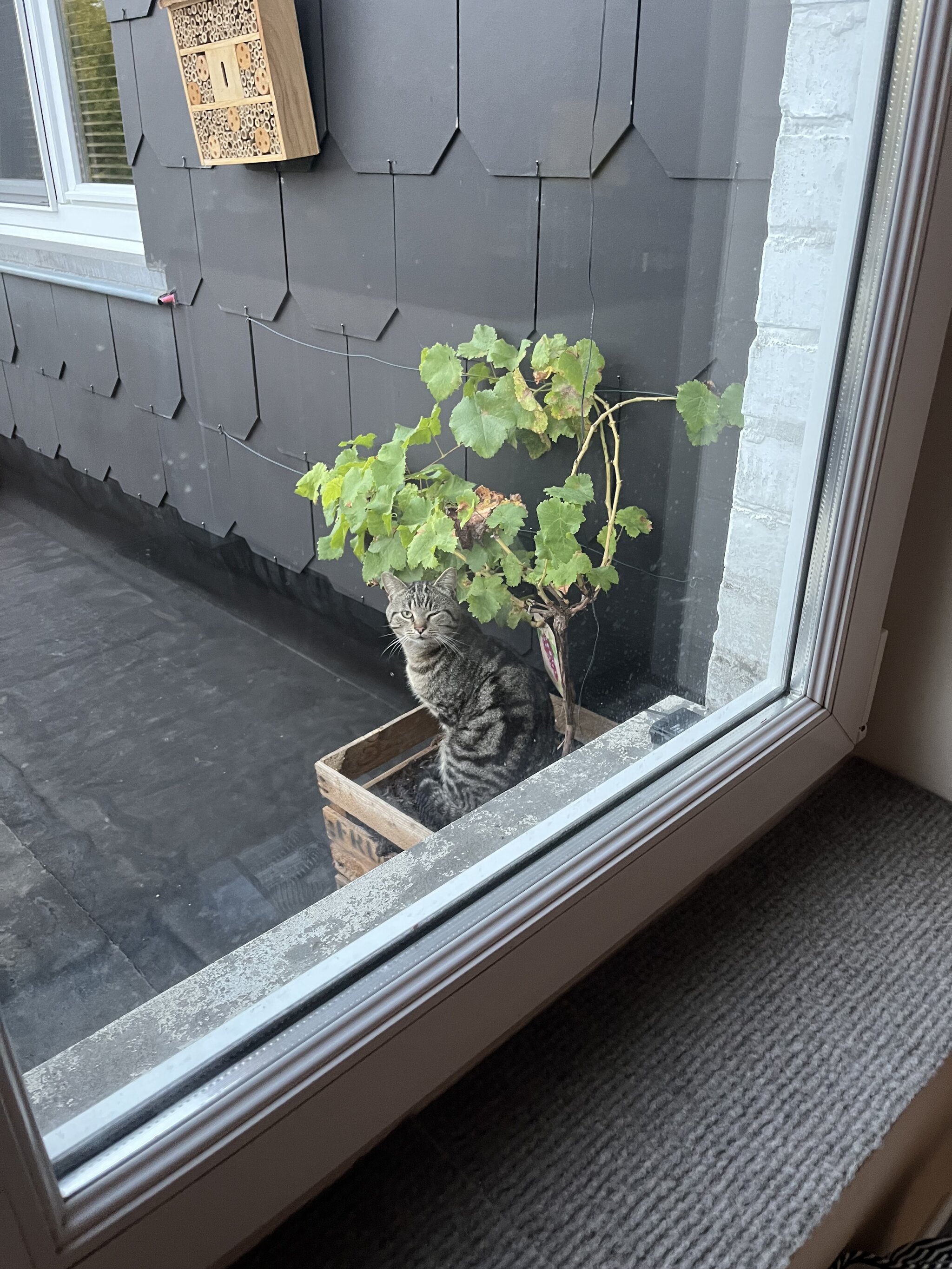 © BinnenBeest.be